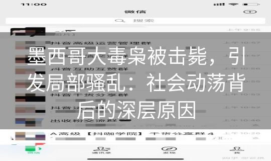 墨西哥大毒枭被击毙，引发局部骚乱：社会动荡背后的深层原因