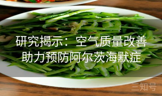 研究揭示：空气质量改善助力预防阿尔茨海默症