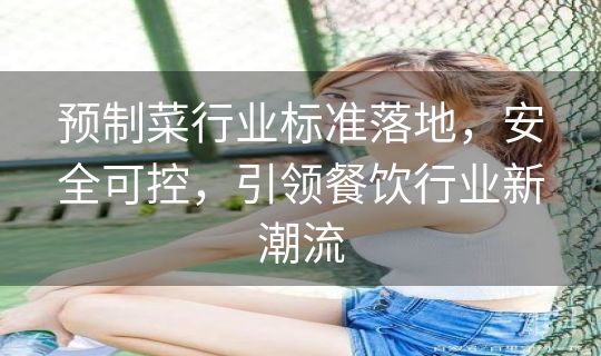 预制菜行业标准落地，安全可控，引领餐饮行业新潮流