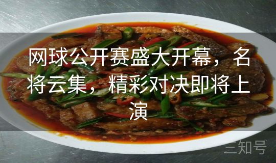 网球公开赛盛大开幕,名将云集,精彩对决即将上演 网球公开赛盛大开幕,名将云集,精彩对决即将上演