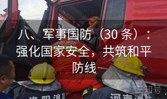 八、军事国防（30 条）：强化国家安全，共筑和平防线