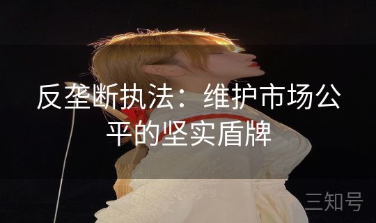 反垄断执法：维护市场公平的坚实盾牌