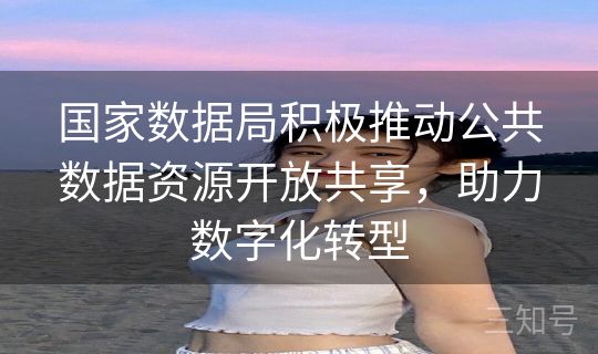 国家数据局积极推动公共数据资源开放共享,助力数字化转型 国家数据局积极推动公共数据资源开放共享,助力数字化转型