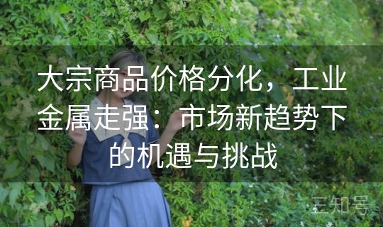 大宗商品价格分化,工业金属走强:市场新趋势下的机遇与挑战 大宗商品价格分化,工业金属走强:市场新趋势下的机遇与挑战