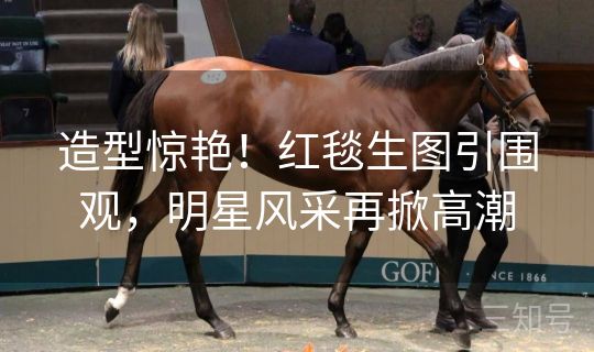 造型惊艳！红毯生图引围观，明星风采再掀高潮