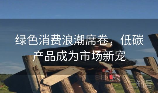 绿色消费浪潮席卷，低碳产品成为市场新宠