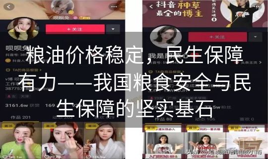 粮油价格稳定，民生保障有力——我国粮食安全与民生保障的坚实基石