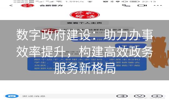 数字政府建设：助力办事效率提升，构建高效政务服务新格局