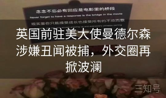 英国前驻美大使曼德尔森涉嫌丑闻被捕，外交圈再掀波澜