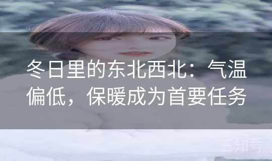 冬日里的东北西北：气温偏低，保暖成为首要任务