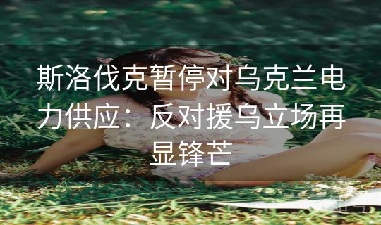 斯洛伐克暂停对乌克兰电力供应：反对援乌立场再显锋芒