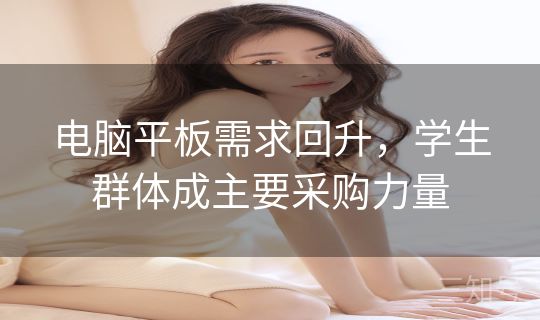 电脑平板需求回升，学生群体成主要采购力量