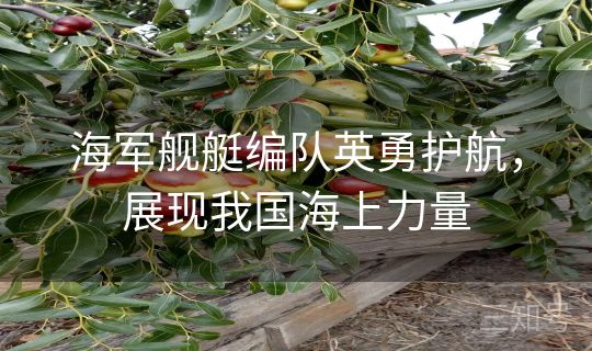 海军舰艇编队英勇护航，展现我国海上力量