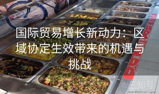 国际贸易增长新动力:区域协定生效带来的机遇与挑战 国际贸易增长新动力:区域协定生效带来的机遇与挑战