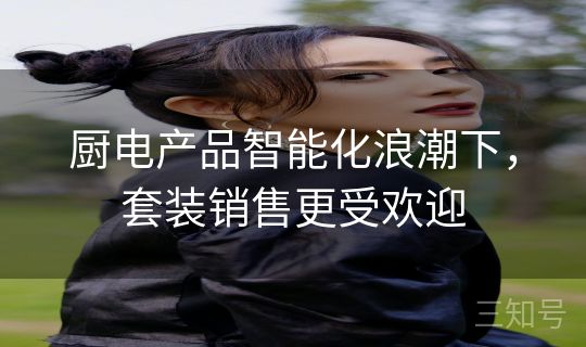 厨电产品智能化浪潮下,套装销售更受欢迎 厨电产品智能化浪潮下,套装销售更受欢迎