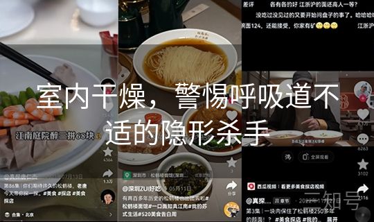 室内干燥,警惕呼吸道不适的隐形杀手 室内干燥,警惕呼吸道不适的隐形杀手