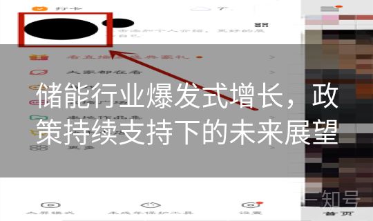 储能行业爆发式增长，政策持续支持下的未来展望