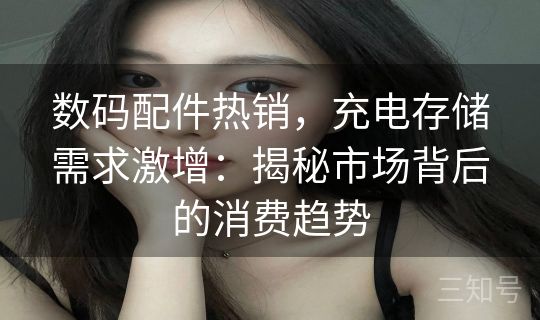 数码配件热销，充电存储需求激增：揭秘市场背后的消费趋势