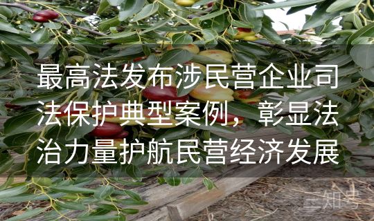 最高法发布涉民营企业司法保护典型案例，彰显法治力量护航民营经济发展