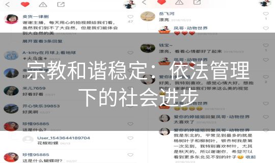 宗教和谐稳定：依法管理下的社会进步