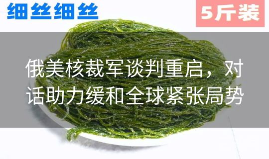 俄美核裁军谈判重启,对话助力缓和全球紧张局势 俄美核裁军谈判重启,对话助力缓和全球紧张局势