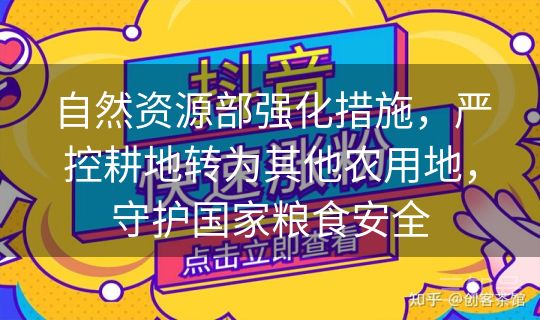 自然资源部强化措施，严控耕地转为其他农用地，守护国家粮食安全