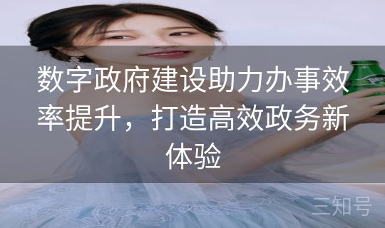 数字政府建设助力办事效率提升，打造高效政务新体验