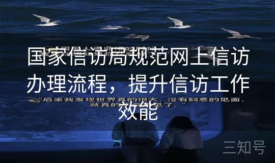 国家信访局规范网上信访办理流程，提升信访工作效能