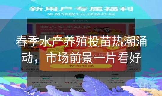 春季水产养殖投苗热潮涌动，市场前景一片看好