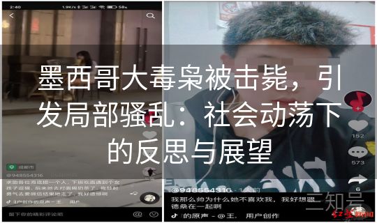 墨西哥大毒枭被击毙，引发局部骚乱：社会动荡下的反思与展望