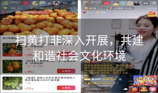 扫黄打非深入开展,共建和谐社会文化环境 扫黄打非深入开展,共建和谐社会文化环境