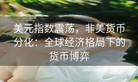 美元指数震荡，非美货币分化：全球经济格局下的货币博弈