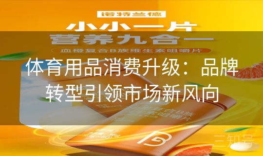 体育用品消费升级：品牌转型引领市场新风向