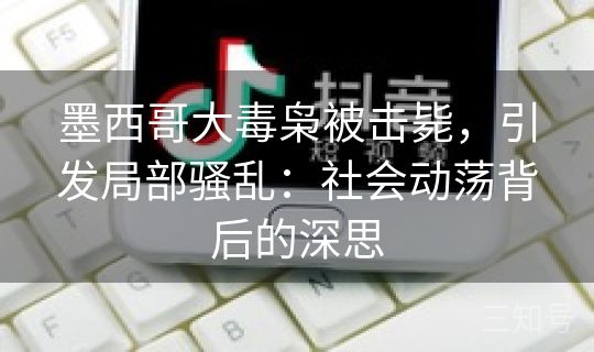 墨西哥大毒枭被击毙，引发局部骚乱：社会动荡背后的深思