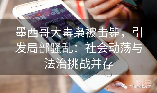 墨西哥大毒枭被击毙，引发局部骚乱：社会动荡与法治挑战并存