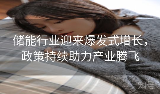 储能行业迎来爆发式增长,政策持续助力产业腾飞 储能行业迎来爆发式增长,政策持续助力产业腾飞