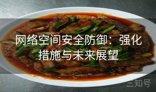 网络空间安全防御:强化措施与未来展望 网络空间安全防御:强化措施与未来展望