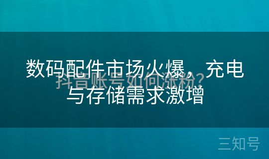 数码配件市场火爆，充电与存储需求激增