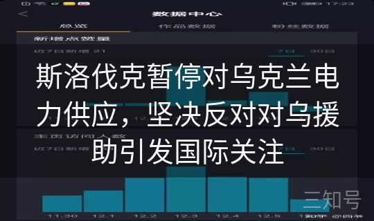 斯洛伐克暂停对乌克兰电力供应,坚决反对对乌援助引发国际关注 斯洛伐克暂停对乌克兰电力供应,坚决反对对乌援助引发国际关注