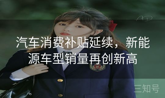 汽车消费补贴延续，新能源车型销量再创新高