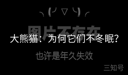 大熊猫：为何它们不冬眠？