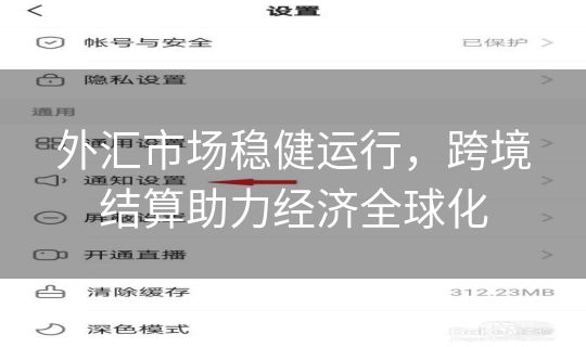 外汇市场稳健运行,跨境结算助力经济全球化 外汇市场稳健运行,跨境结算助力经济全球化