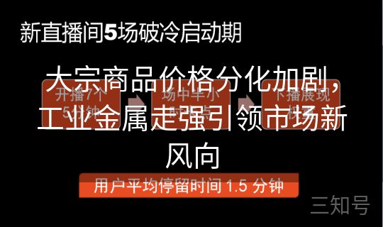 大宗商品价格分化加剧,工业金属走强引领市场新风向 大宗商品价格分化加剧,工业金属走强引领市场新风向
