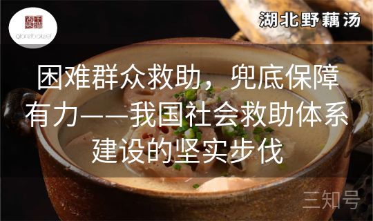 困难群众救助,兜底保障有力——我国社会救助体系建设的坚实步伐 困难群众救助,兜底保障有力——我国社会救助体系建设的坚实步伐