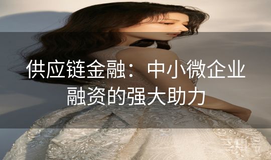 供应链金融：中小微企业融资的强大助力
