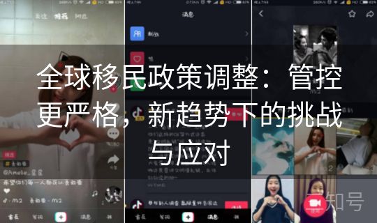 全球移民政策调整：管控更严格，新趋势下的挑战与应对