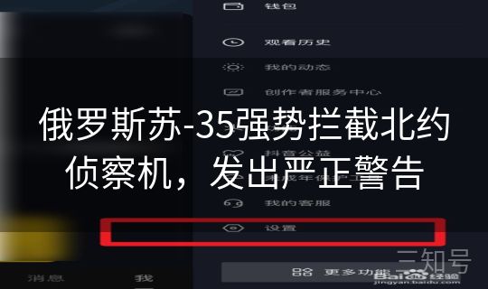 俄罗斯苏-35强势拦截北约侦察机，发出严正警告