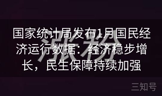 国家统计局发布1月国民经济运行数据:经济稳步增长,民生保障持续加强 国家统计局发布1月国民经济运行数据:经济稳步增长,民生保障持续加强