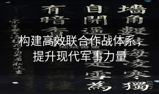 构建高效联合作战体系，提升现代军事力量