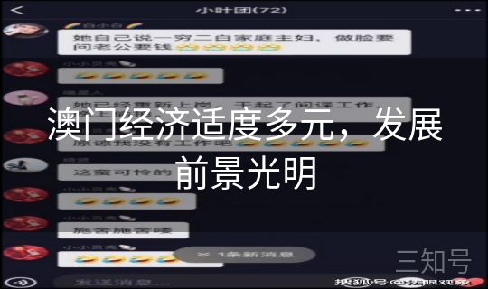 澳门经济适度多元，发展前景光明